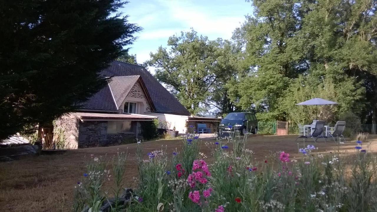 Vila Gite De La Maison Bleue Mirandol-Bourgnounac Exteriér fotografie